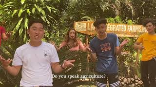 Magtanim ng PagAsa Youth x Agriculture Song [upl. by Thorlay]