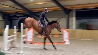 4yo gelding Undercover DXB Uricas VD Kattevennen x Bisquet Balou x Landor S training show 👌🏻 [upl. by Rourke]