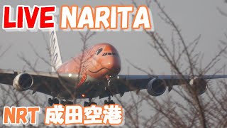 🔴LIVE at NARITA International Airport Plane Spotting 20240410 成田空港ライブカメラ 成田空港 NRTRJAA [upl. by Dulce]