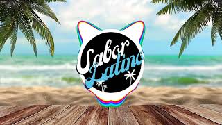 Reggaeton Classics Vs New Mix  Sabor Latino [upl. by Colston402]