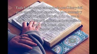 Musica para leer la Biblia  Instrumental cristiana que transmite Paz [upl. by Eenaej421]