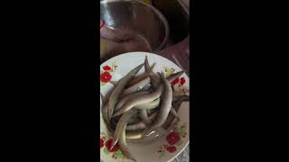 Fish smeared with soap and bubbles ត្រីឆ្លូញប្រលាក់គ្រឿងទៅបែកពពុះ ដូចប្រលាក់សាប៊ូ [upl. by Anibla]