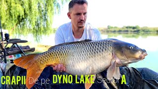 Torpila de crap pe Dyno Lake🐟 [upl. by Lang]