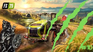 Dealing with Weeds  Farming Simulator 25  Pt 10 [upl. by Schellens251]