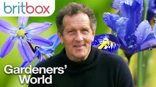 How To Keep Your Garden Blooming With Flowers Throughout Winter  Gardeners World 2020 [upl. by Ahsinid545]