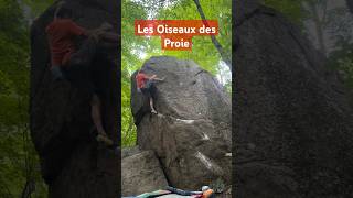 Les Oiseaux de Proie V5 as climbed by tigerclimbs bouldering valdavidbouldering [upl. by Fiorenza]