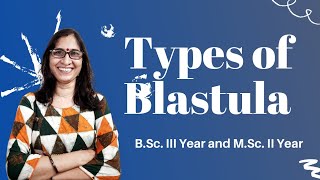 Types of Blastula NEET BSc IIIYear and MSc llYear  Dr Ranjana Gupta [upl. by Leif635]