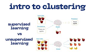 INTRO TO CLUSTERING  DIFFERENCE BETWEEN SUPERVISED AND UNSUPERVISED LEARNING [upl. by Olivann]