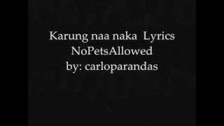 Karung Naa Naka  NoPetsAllowed Lyrics on screen [upl. by Pulchia]