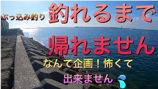 沖縄の打ち込み釣り ポイント探索 釣れ○○○ 水中カメラ映像㉙＃沖縄釣り ＃打ち込み釣り ＃gopro9水中映像 [upl. by Sateia]