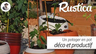 Un potager en pot décoratif et productif au balcon ou dans une cour [upl. by Ogires]