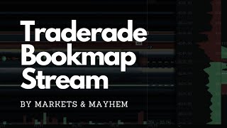 Traderade SampP 500 Options Visualizer on Bookmap [upl. by Stesha471]