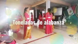 Toneladas de alabanza  Rolando Garcia [upl. by Ayomat296]