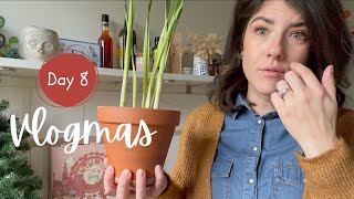 Arrosage Plantes en Hiver Narcisses Paper White amp Haul Sostrene Grene  VLOGMAS DAY 8 [upl. by Nnewg]