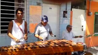 Marimba del sureste [upl. by Sonnnie603]