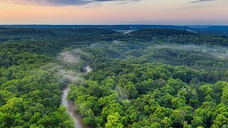 Amazon rainforest  Ecosystems [upl. by Spatola]