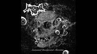 Impending Rot Anatomical Discorporated Aberration Full Album Deathgrind [upl. by Ecirtac]