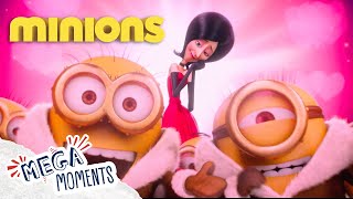 The Minions Search For A Boss  Despicable Me  Minions  Compilation  Movie  Mega Moments [upl. by Esylla99]