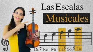 Las escalas Musicales En el Violín 😊🎻 Qué son Como Tocarlas y Material de Descarga [upl. by Eimmak]