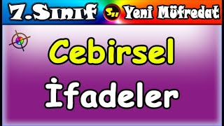 Cebirsel İfadeler 7 Sınıf Matematik [upl. by Aikyt]