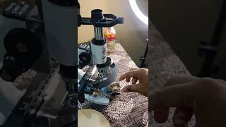 Masroom under the microscope 🔬😱 microscope science experiment masroom odiaeducation [upl. by Bashemeth]