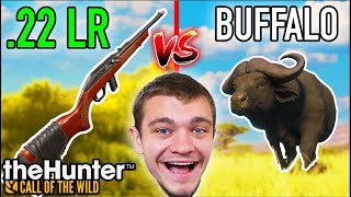 22LR vs GIANT Water Buffalo [upl. by Pol]