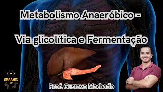 Metabolismo Anaeróbico  Via glicolítica e Fermentação [upl. by Brag523]