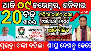 today morning News Odisha 09 November 2024subhadra yojana apply online subhadrayojana kaliatanka [upl. by Eveivaneg]