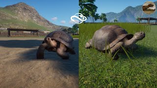 Aldabra And Galapagos Giant Tortoise Planet Zoo Gameplay 1080p [upl. by Tnarg]