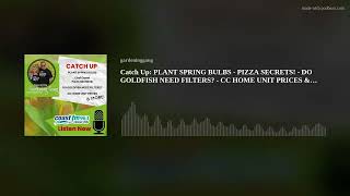 Catch Up PLANT SPRING BULBS  PIZZA SECRETS  DO GOLDFISH NEED FILTERS  CC HOME UNIT PRICES amp [upl. by Fari]