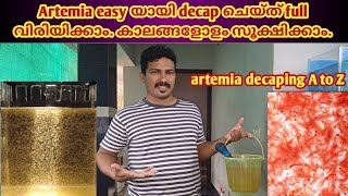 Artemia easy യായി decap ചെയ്ത് full വിരിയിക്കാം കാലങ്ങളോളം സൂക്ഷിക്കാം Artemia decaping A to Z [upl. by Ulund]