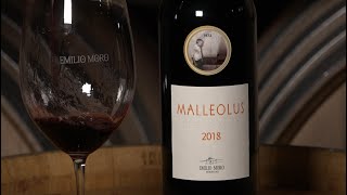 Videocata MALLEOLUS 2018  EmilioMoro [upl. by Lyrehc549]