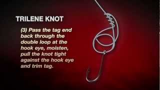 How To Tie A Berkley Trilene Knot In 3 Easy Steps [upl. by Aduh624]