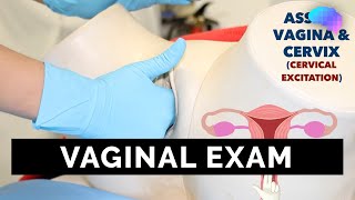 Vaginal Examination PV  OSCE Guide  UKMLA  CPSA [upl. by Gustav]