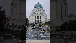 Zentralfriedhof mit HanaTours 😊 silviaeitler zentralfriedhof wien vienna wienistanders [upl. by Bunny639]