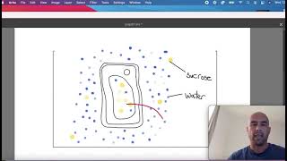 TurgidityandFlaccidityBiology ICSE10thBiology PlantPhysiology [upl. by Anaert712]