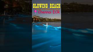 ‼️What happened in Chennai Beaches 🌊😱bioluminescenceTrend TalkChennai beach Blue colour reason [upl. by Sherourd]