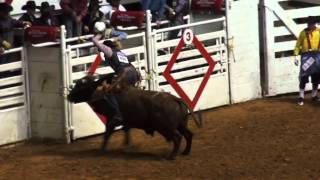 LO MEJOR DEL RODEO AMERICANO EN FORT WORTH TEXAS 2015 [upl. by Raviv484]