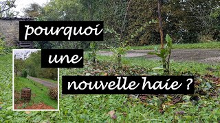 Comment planter une haie pour protéger et nourrir le potager [upl. by Christiano]