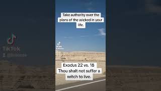 Dont relent in prayer faith grace god youtubeshorts scripture bible fire prayer shortvideo [upl. by Alane]