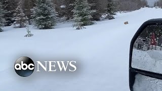 Sheet of ice covers car window in Canada l ABC News [upl. by Adnara]