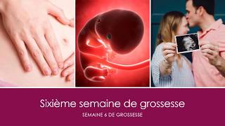 6 semaines de grossesse OU sixième semaine de grossesse [upl. by Beckerman]