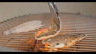 Grilled Branzino Fillet [upl. by Dana]