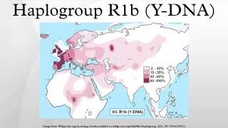 Haplogroup R1b YDNA [upl. by Kant88]