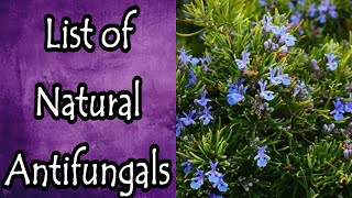 List of Natural Antifungals [upl. by Esinyl]