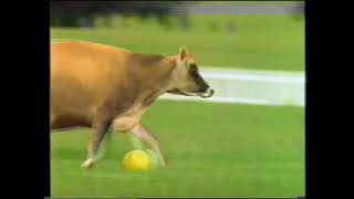 Anchor Butter advert  16th October 1993 UK television commercial [upl. by Ahtnamas]