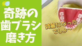 【保存版】奇跡の歯ブラシおすすめの磨き方！ [upl. by Peace]