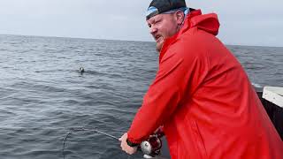 Alaska Halibut Fishing [upl. by Laersi]