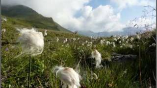 Naturpark Zillertaler Alpen Torseen Nasse Tux Tirol [upl. by Riggs]