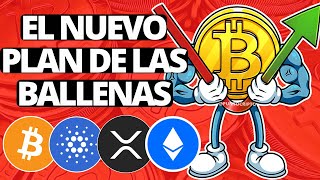 ✅CAÍDA  REBOTE😱Noticias Criptomonedas HOYBitcoin Ethereum Cardano XRP USDT SUI CELESTIA [upl. by Cirilla413]